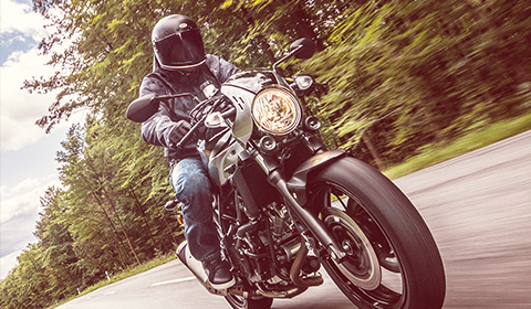 活力動感  真性情